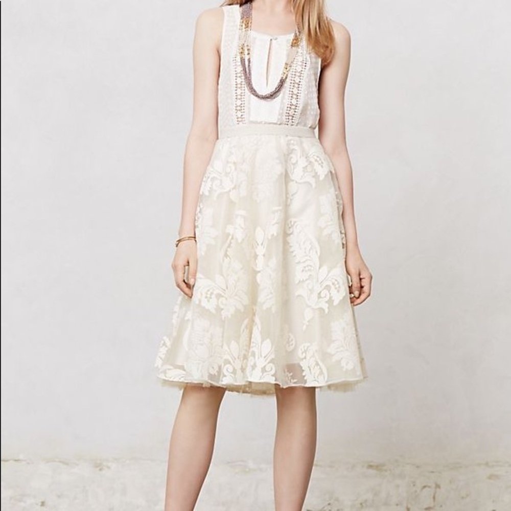 Anthropologie Emeline Tulle Skirt by Baraschi